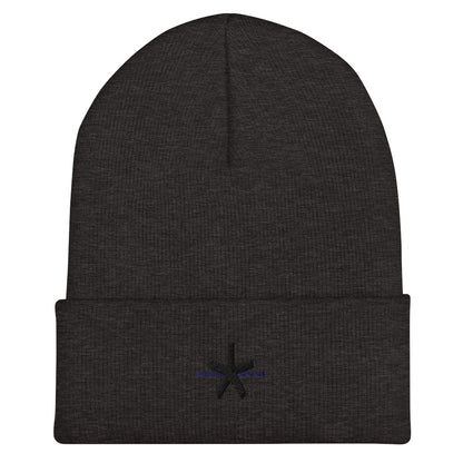 ARV Containment Beanie